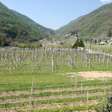 Agriturismo Le Cavade Villa Cembra Lisignago Buitenkant foto