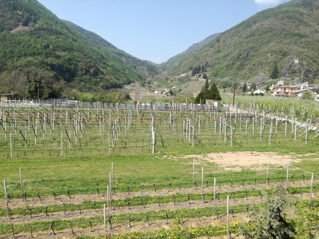 Agriturismo Le Cavade Villa Cembra Lisignago Buitenkant foto